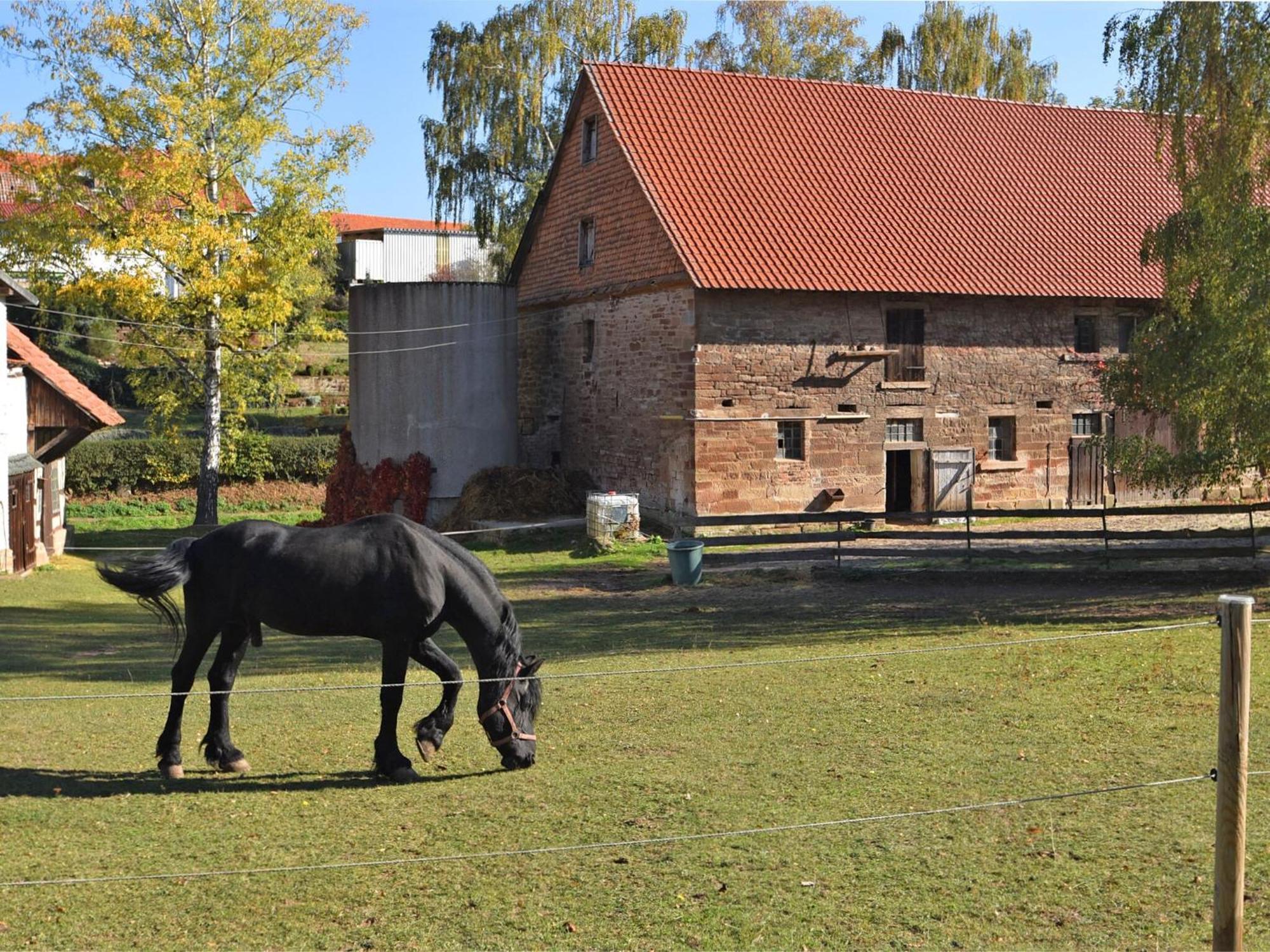 Spacious Holiday Home In Hesse With Garden فالديك المظهر الخارجي الصورة